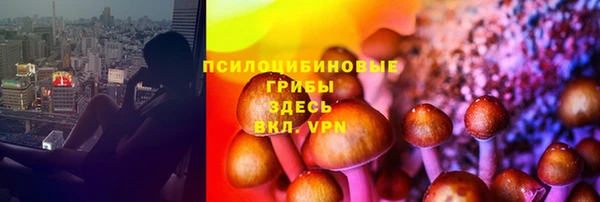 скорость Баксан