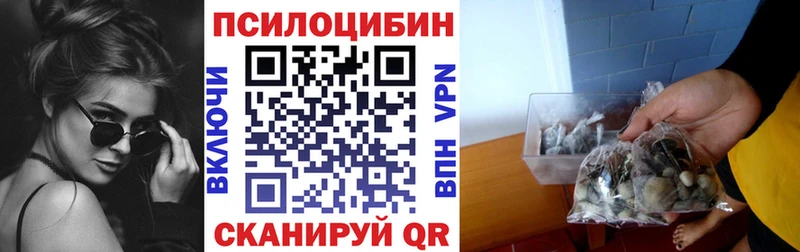 Псилоцибиновые грибы Psilocybine cubensis  купить наркотик  ОМГ ОМГ ТОР  Гагарин 
